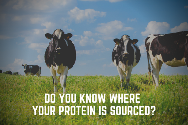 Do you know where your protein is sourced?
